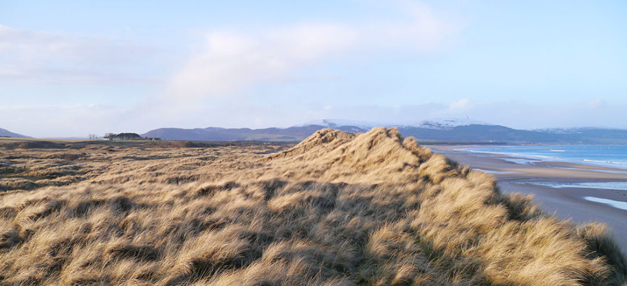 Coul Links looking North towards Ben Bhraggie February 2016